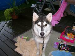 Friday August 03, 2007 20:37 - ACCIDENT ON MAIN ST. 046.jpg